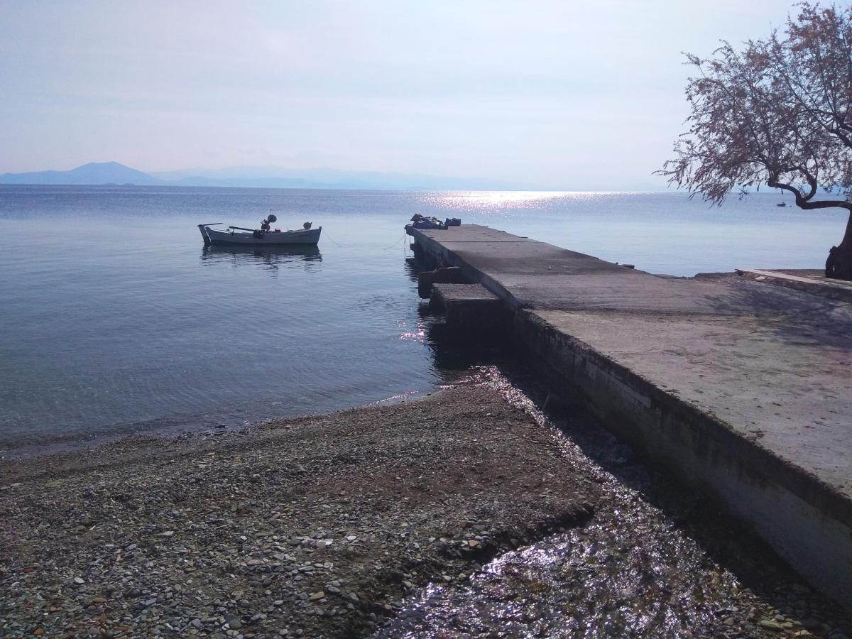 Marina Traditional Stonehouse Afetai ภายนอก รูปภาพ