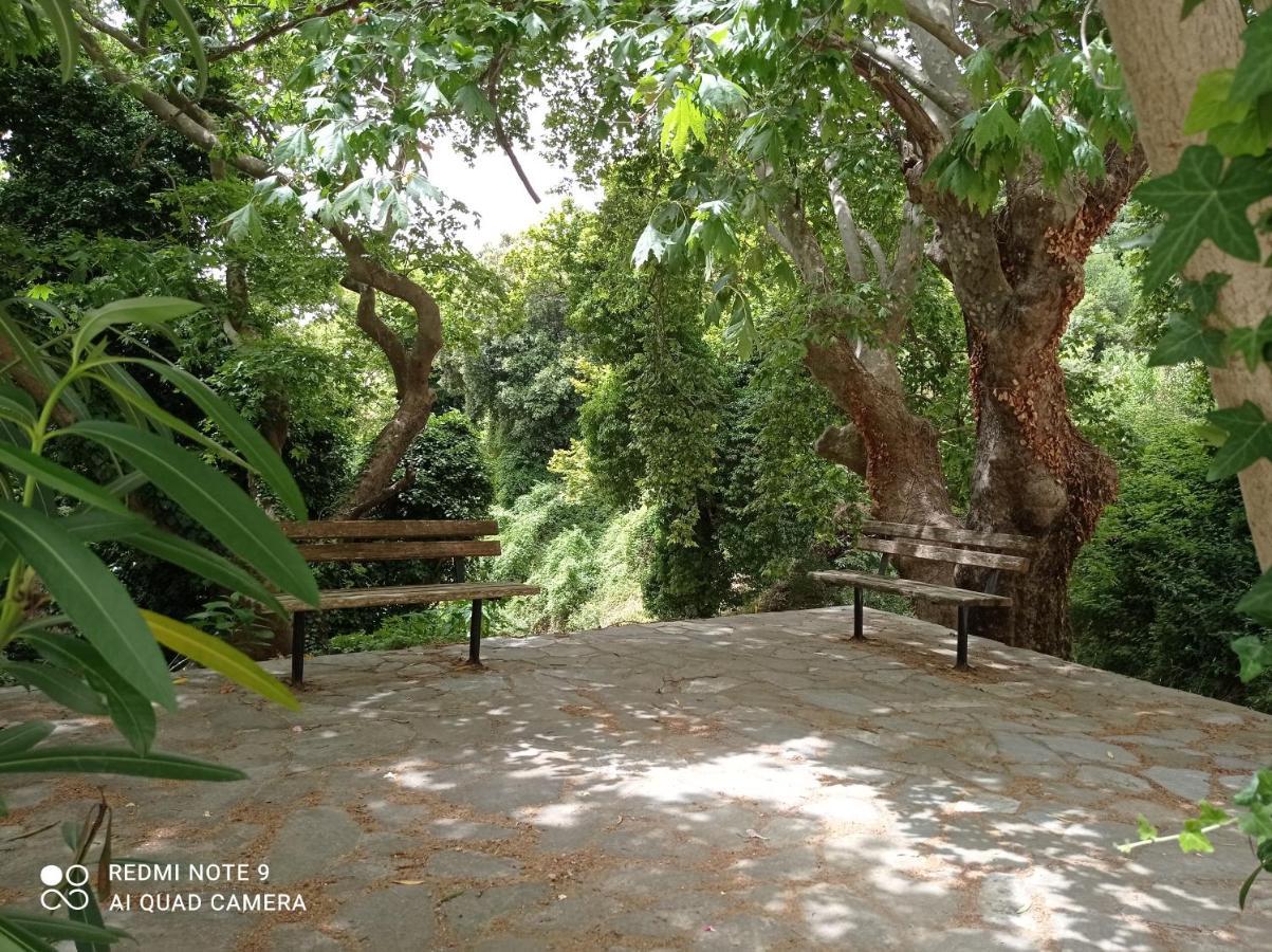 Marina Traditional Stonehouse Afetai ภายนอก รูปภาพ